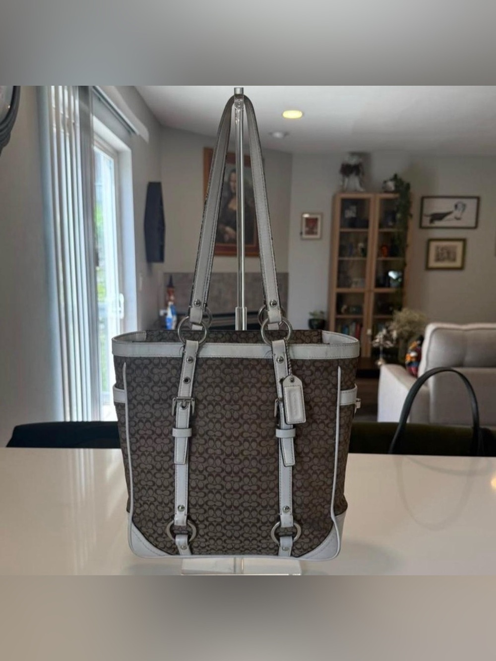 Coach Signature Tote Bag